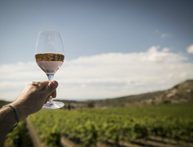 Cheapest Wine Destination Trips Rates